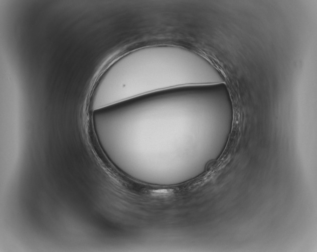 X0000113330053200909141015