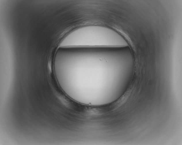 X0000113330062200909141015