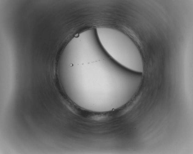 X0000113330065200909141015