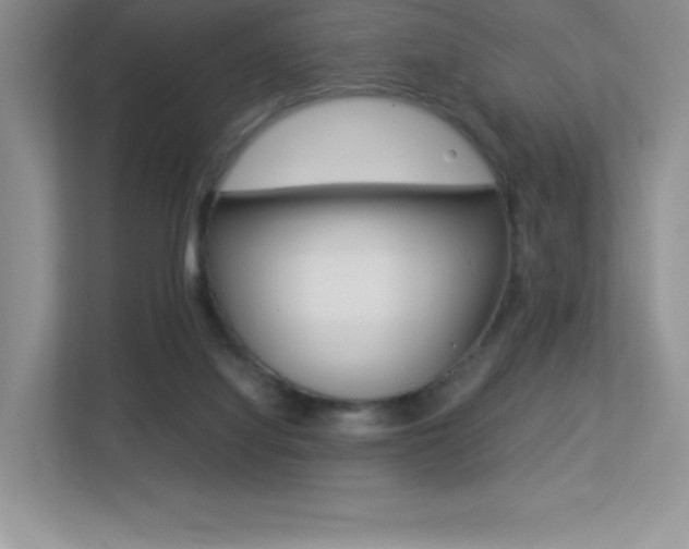 X0000113330068200909141015