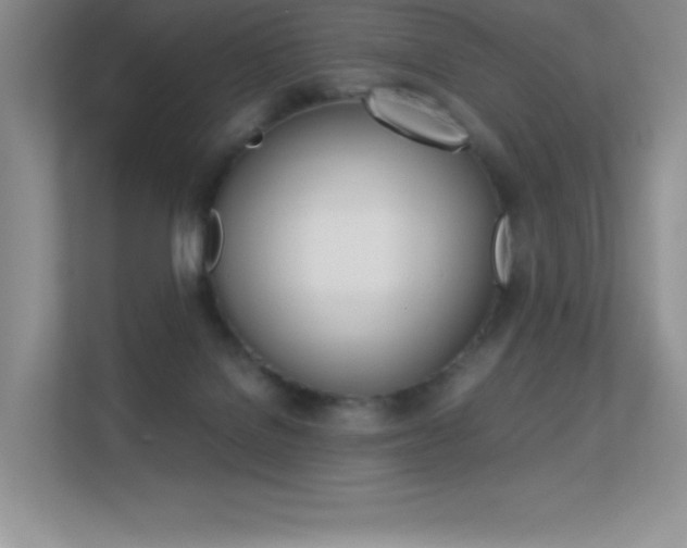 X0000113330076200909141015