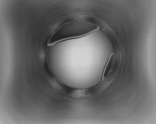 X0000113330084200909141016