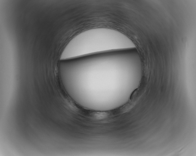 X0000113330085200909141016
