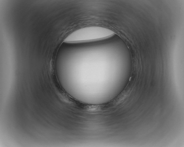 X0000113330088200909141016