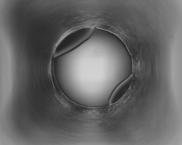 X0000113330100200909141015