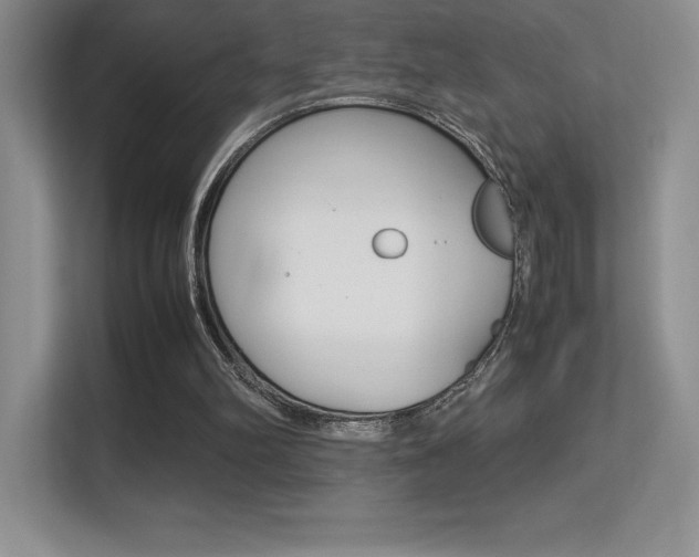X0000113330102200909141015