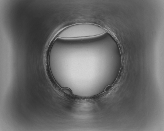X0000113330103200909141015
