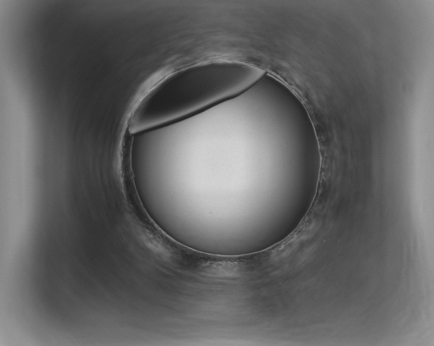 X0000113330104200909141015