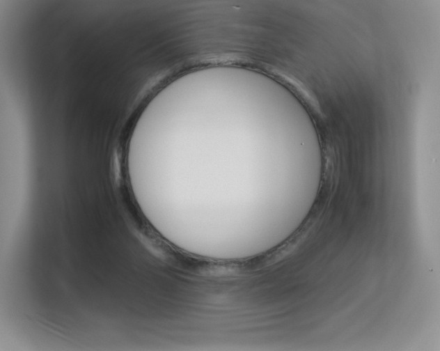 X0000113330110200909141015