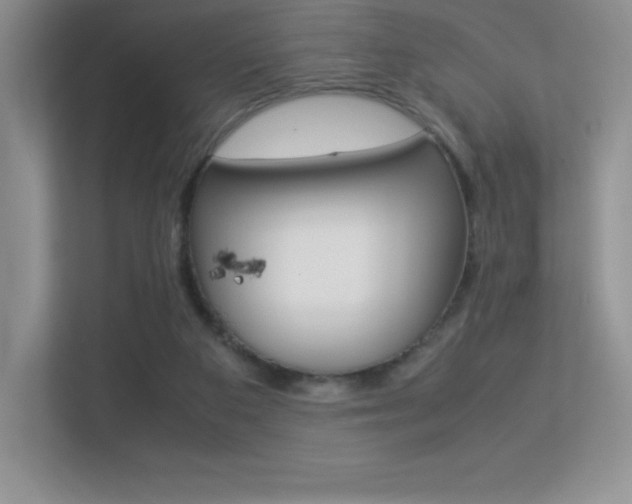 X0000113330113200909141015