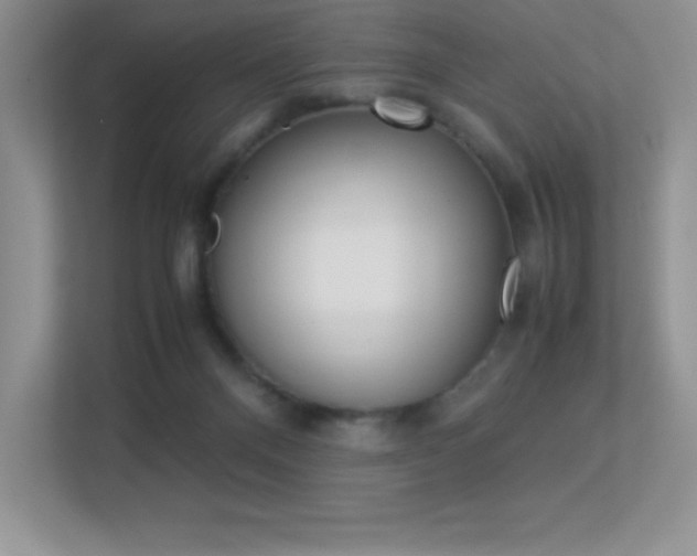 X0000113330120200909141015