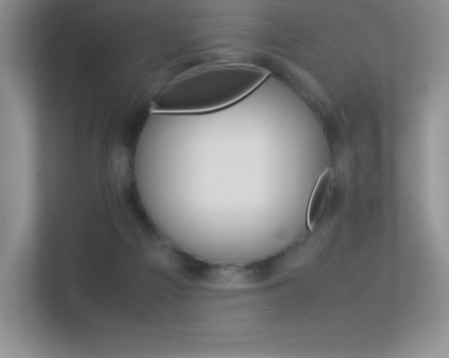 X0000113330121200909141015