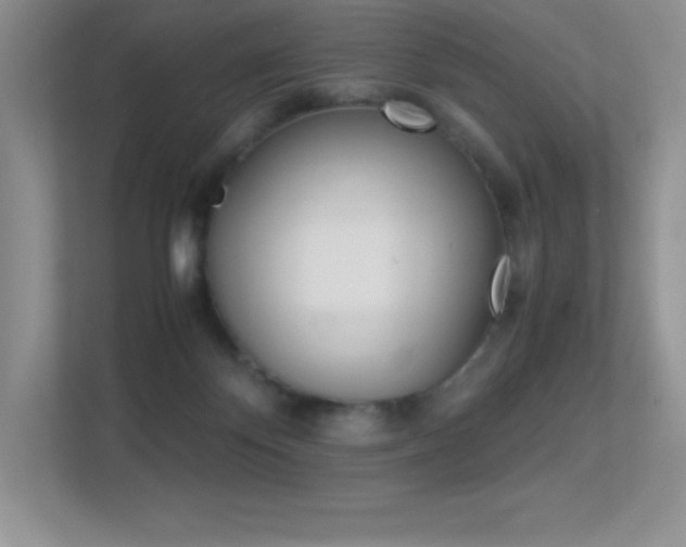 X0000113330124200909141015