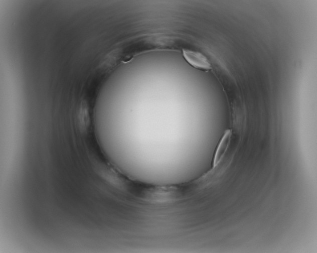 X0000113330128200909141015