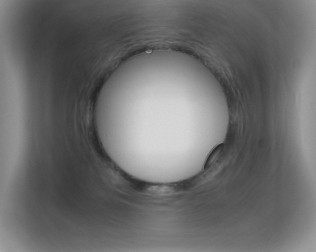 X0000113330133200909141015