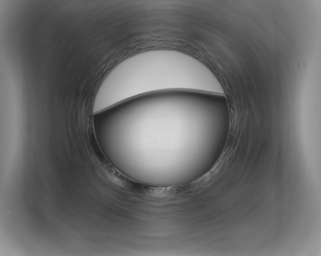 X0000113330136200909141015