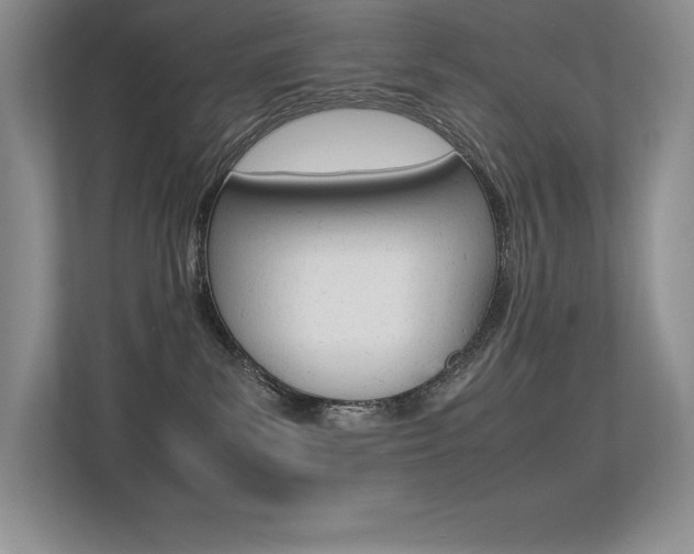 X0000113330139200909141015
