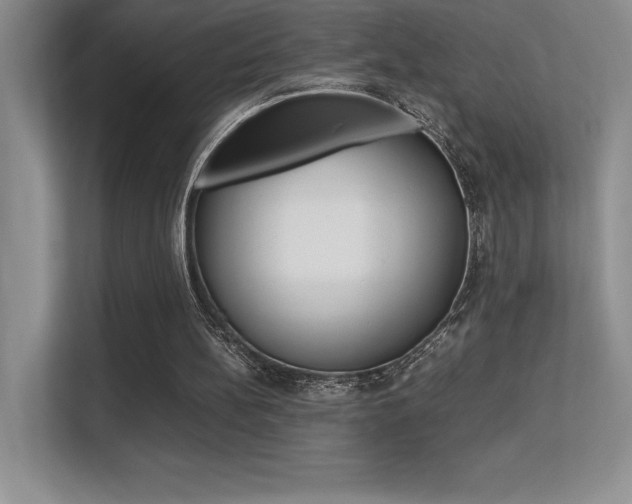 X0000113330148200909141014
