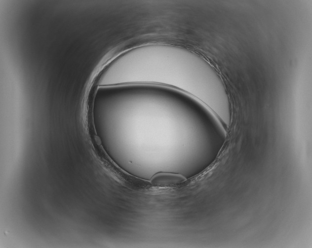 X0000113330150200909141014