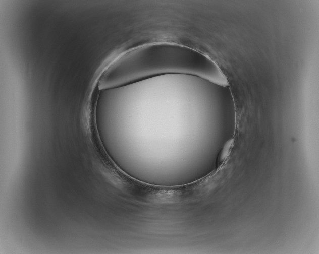 X0000113330152200909141014