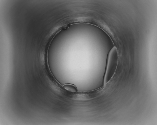 X0000113330154200909141014