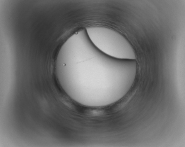 X0000113330165200909141014