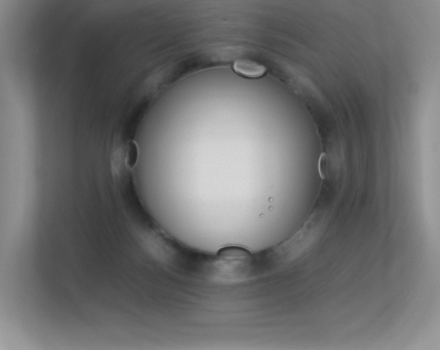 X0000113330172200909141014