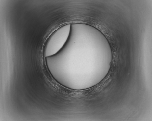 X0000113330194200909141014