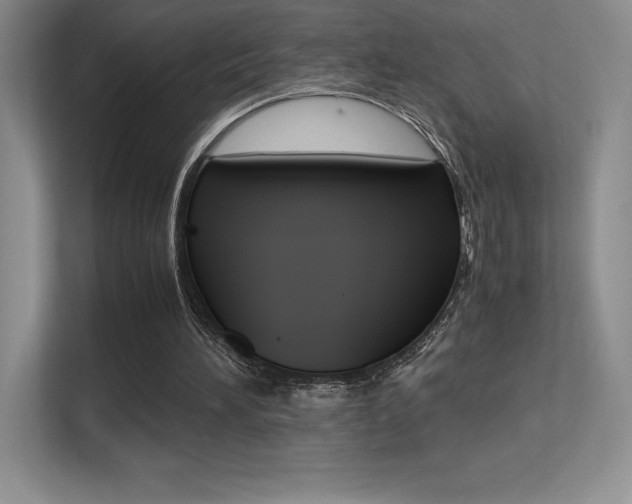 X0000113330196200909141014