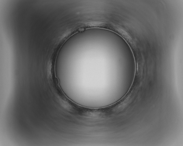 X0000113330201200909141014