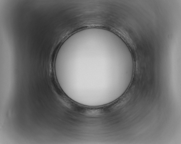 X0000113330202200909141014
