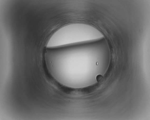X0000113330211200909141014