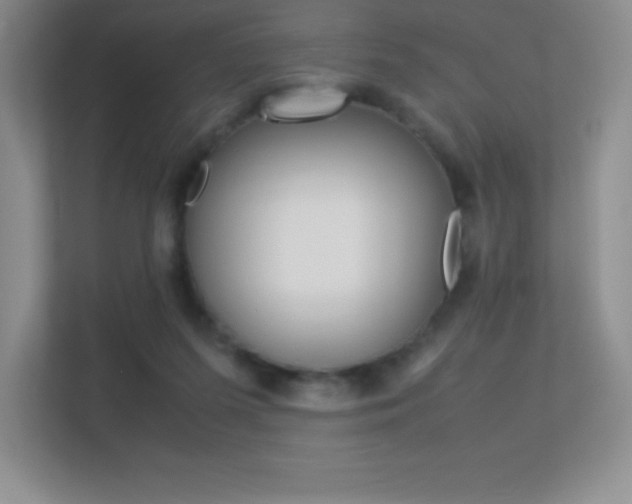 X0000113330215200909141014