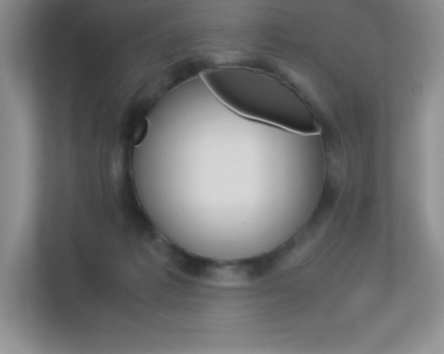 X0000113330221200909141013