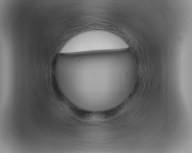 X0000113330223200909141013