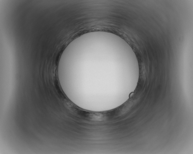 X0000113330230200909141013