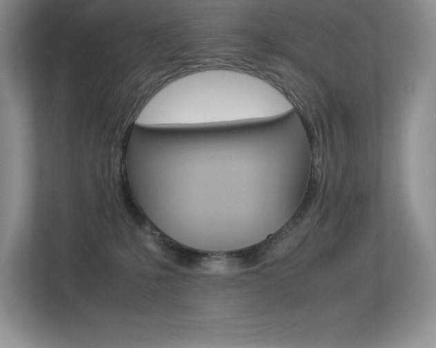 X0000113330231200909141013