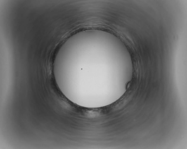 X0000113330232200909141013