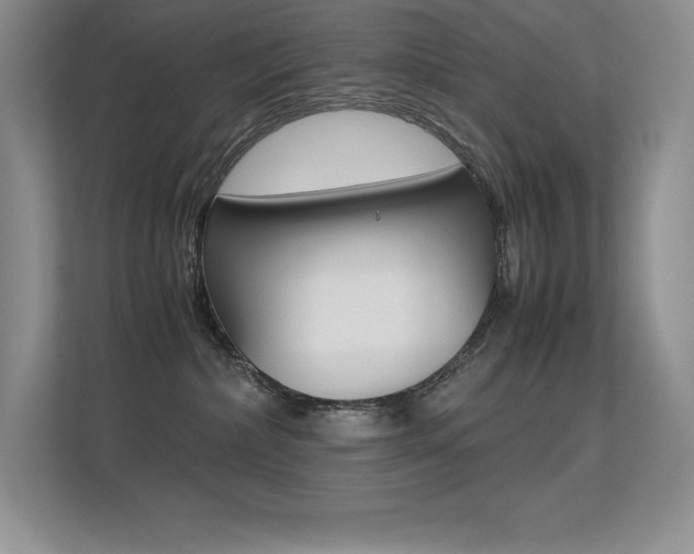 X0000113330236200909141013