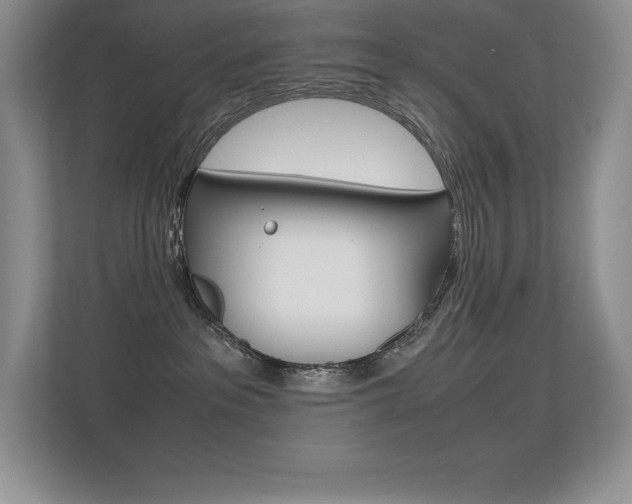 X0000113330237200909141013