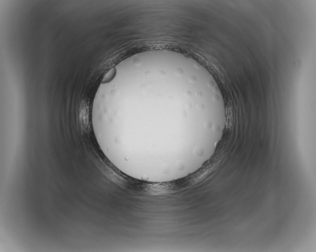 X0000113330238200909141013