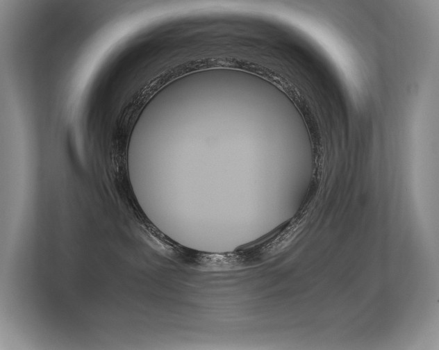 X0000113330239200909141013