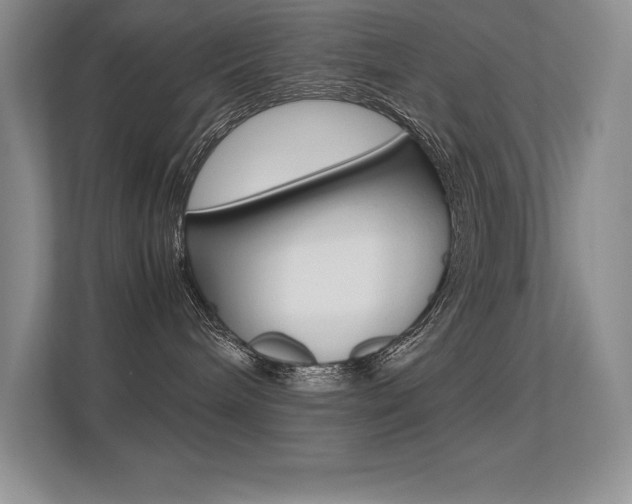 X0000113330240200909141013