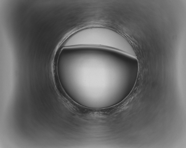 X0000113330244200909141013