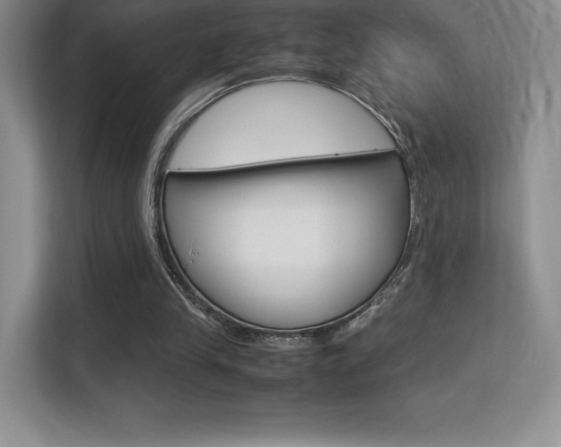 X0000113330245200909141013