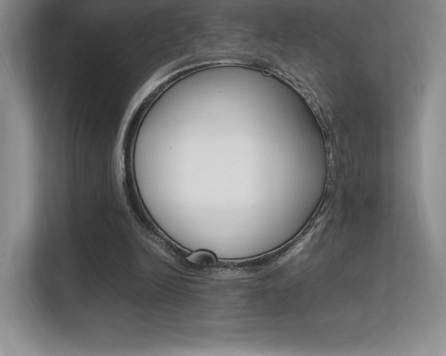 X0000113330246200909141013