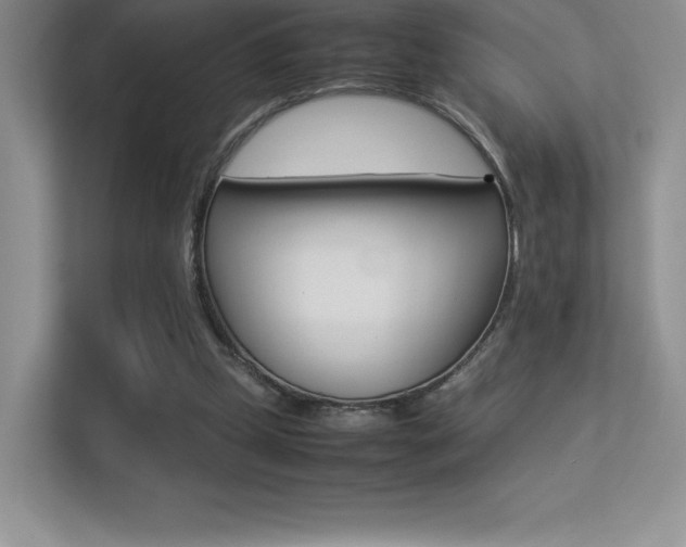 X0000113330249200909141013