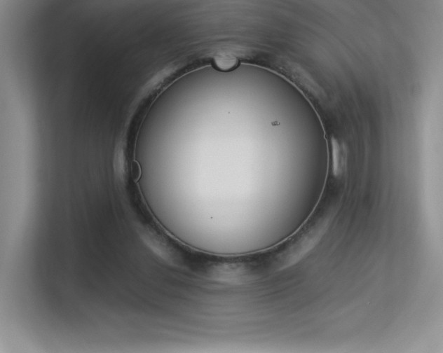 X0000113330252200909141013