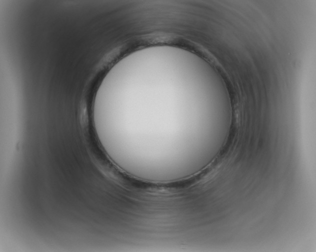 X0000113330254200909141013
