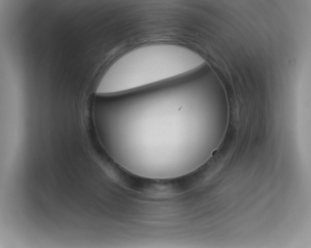 X0000113330260200909141013